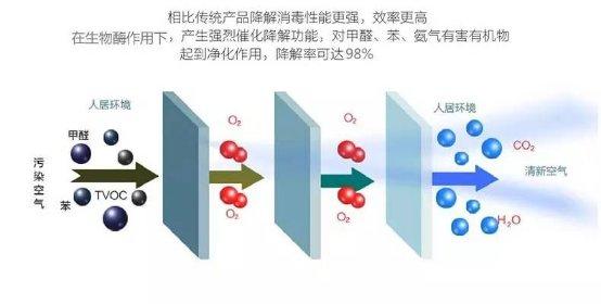 光觸媒、生物酶、空氣凈化器，哪家除甲醛公司效果好？