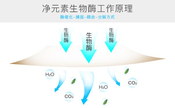 光觸媒、生物酶、空氣凈化器，哪家除甲醛公司效果好？